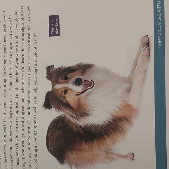 Dog Training Guide Book - Picture 11 of 15